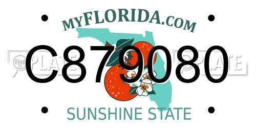 C879080 Florida License Plate