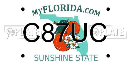 C87UC Florida License Plate