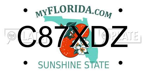 C87XDZ Florida License Plate
