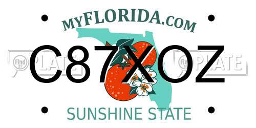 C87XOZ Florida License Plate