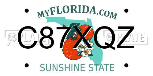 C87XQZ Florida License Plate