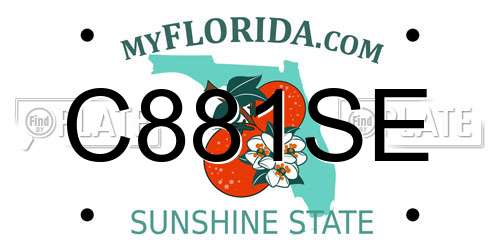 C881SE Florida License Plate