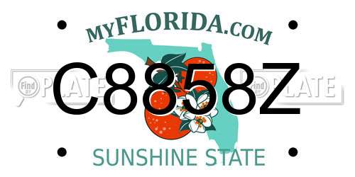 C8858Z Florida License Plate