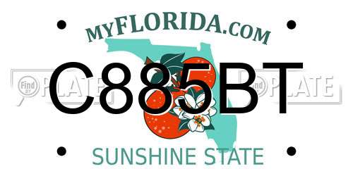 C885BT Florida License Plate