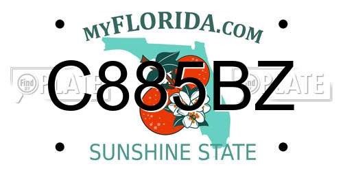C885BZ Florida License Plate