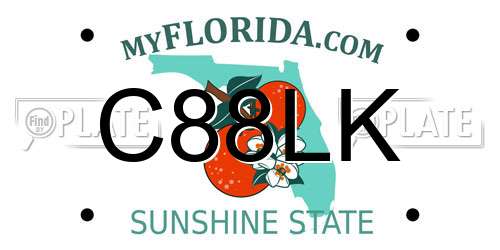 C88LK Florida License Plate