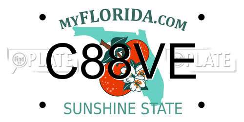 C88VE Florida License Plate