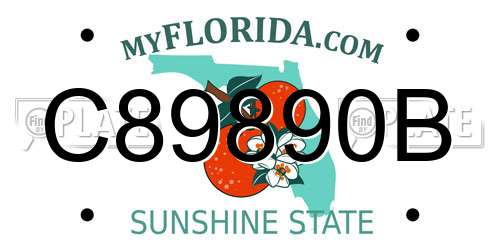 C89890B Florida License Plate