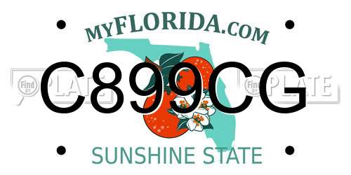 C899CG Florida License Plate