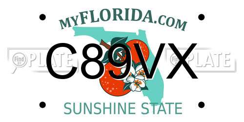 C89VX Florida License Plate