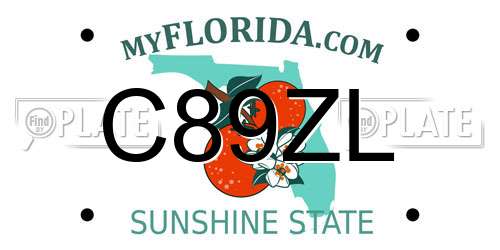 C89ZL Florida License Plate