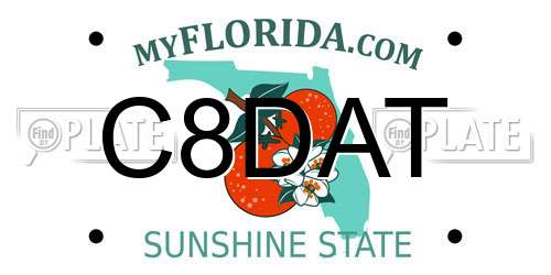 C8DAT Florida License Plate