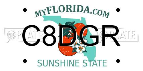 C8DGR Florida License Plate