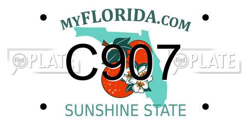 C907 Florida License Plate