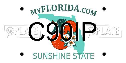 C90IP Florida License Plate