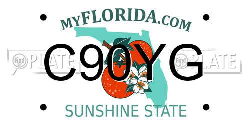 C90YG Florida License Plate