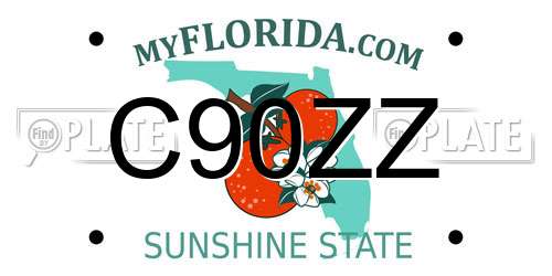 C90ZZ Florida License Plate