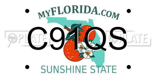 C91QS Florida License Plate