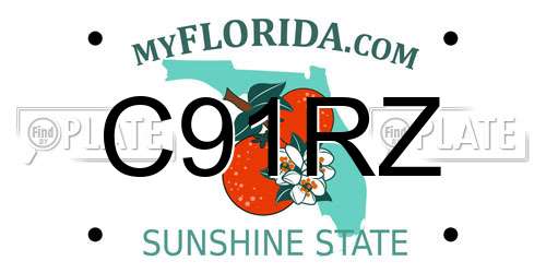 C91RZ Florida License Plate