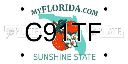 C91TF Florida License Plate
