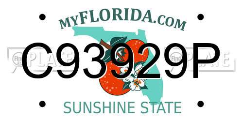 C93929P Florida License Plate