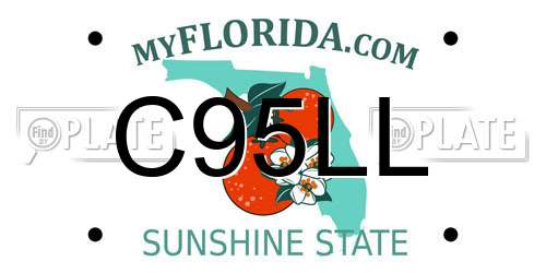 C95LL Florida License Plate