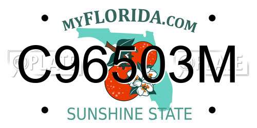 C96503M Florida License Plate