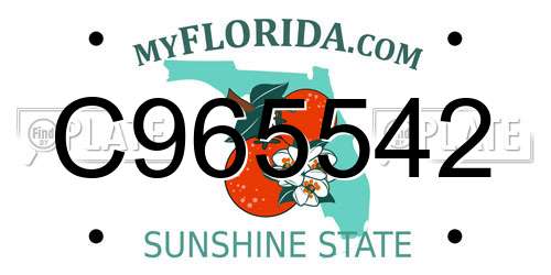 C965542 Florida License Plate