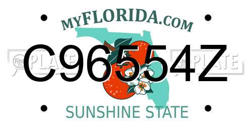 C96554Z Florida License Plate