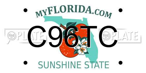 C96TC Florida License Plate