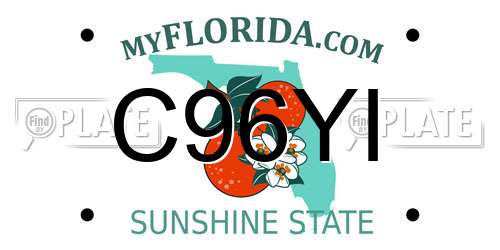 C96YI Florida License Plate