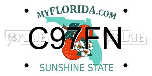 C97FN Florida License Plate