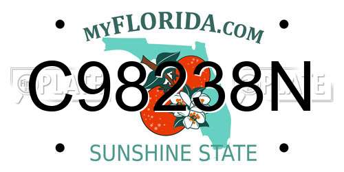 C98238N Florida License Plate
