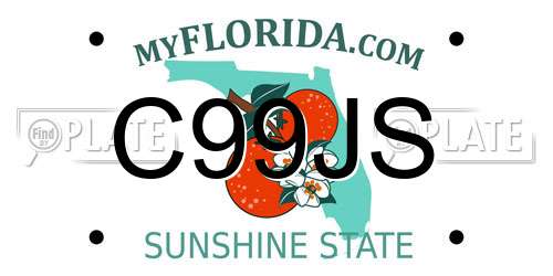 C99JS Florida License Plate
