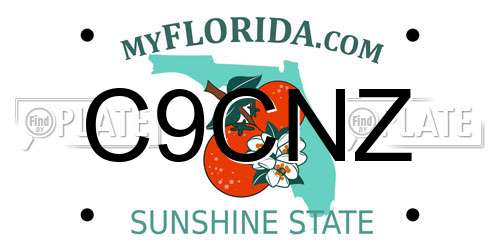 C9CNZ Florida License Plate
