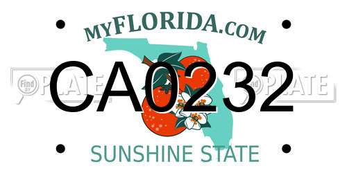 CA0232 Florida License Plate