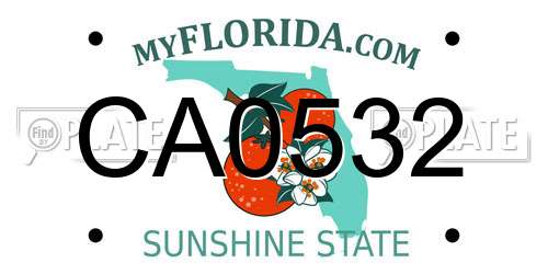 CA0532 Florida License Plate