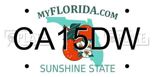 CA15DW Florida License Plate