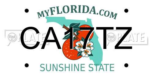 CA17TZ Florida License Plate