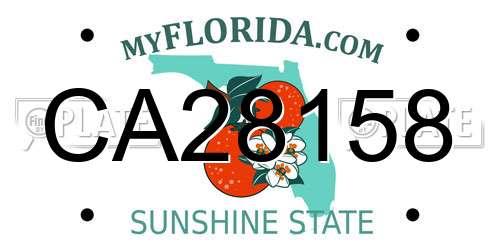 CA28158 Florida License Plate