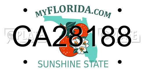CA28188 Florida License Plate