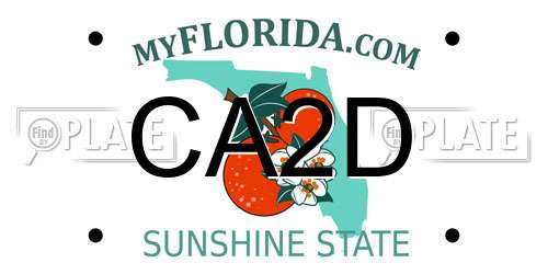CA2D Florida License Plate