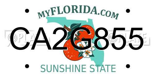CA2G855 Florida License Plate
