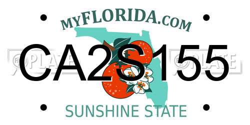 CA2S155 Florida License Plate