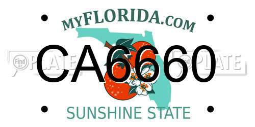 CA6660 Florida License Plate