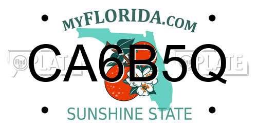 CA6B5Q Florida License Plate