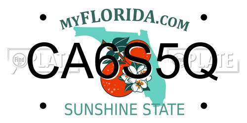 CA6S5Q Florida License Plate
