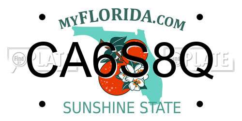 CA6S8Q Florida License Plate