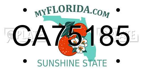 CA75185 Florida License Plate