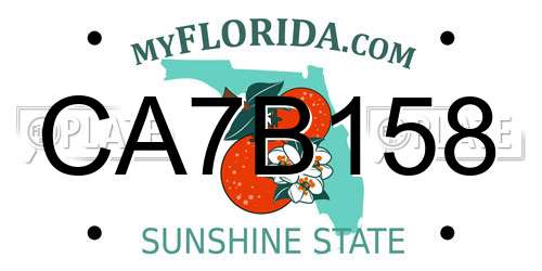 CA7B158 Florida License Plate